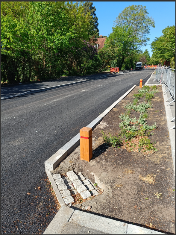 Adams Road April 2026