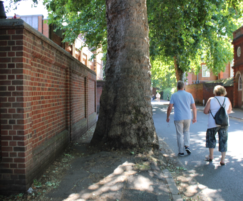 Sidgwick Avenue Spetember