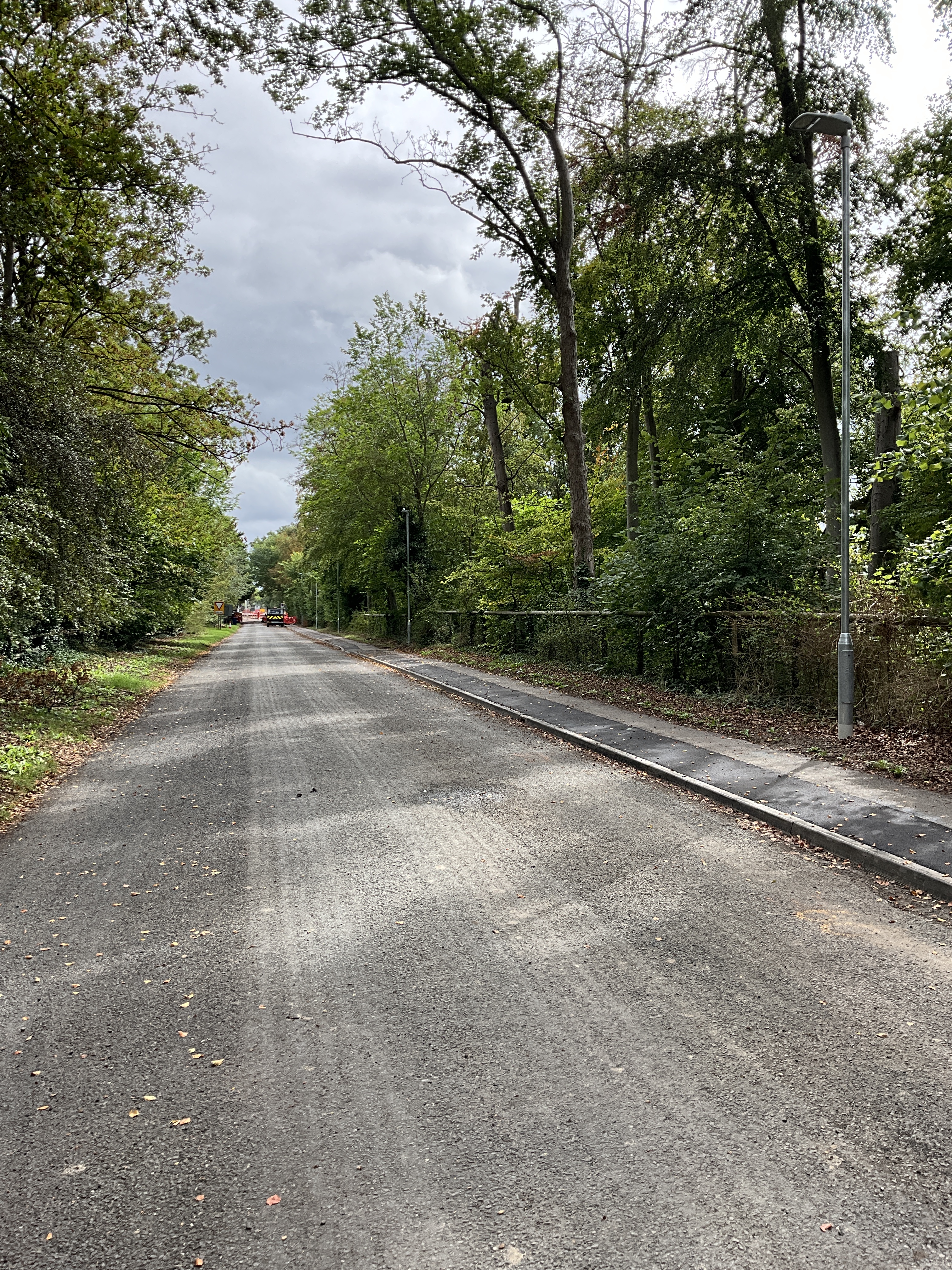 Fowlmere rd