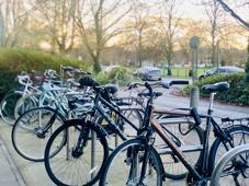 Queen Anne Cycle Parking 2