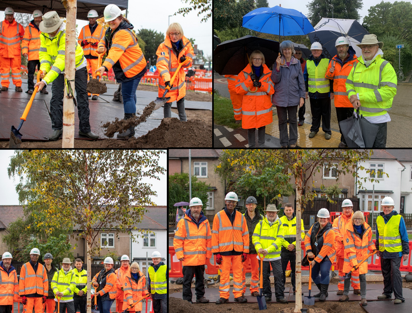 Milton Rd Oct 23 tree planting