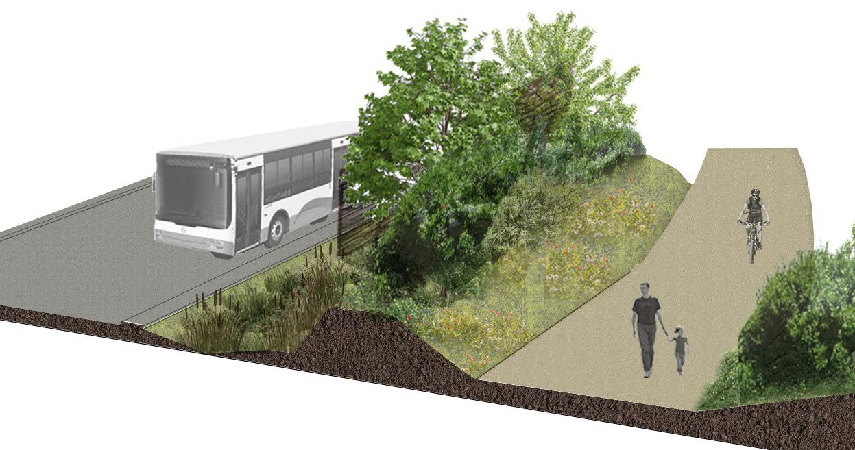 typical cross section of the Cambourne to Cambridge scheme