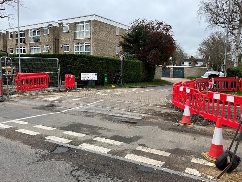 Birch Close March 24