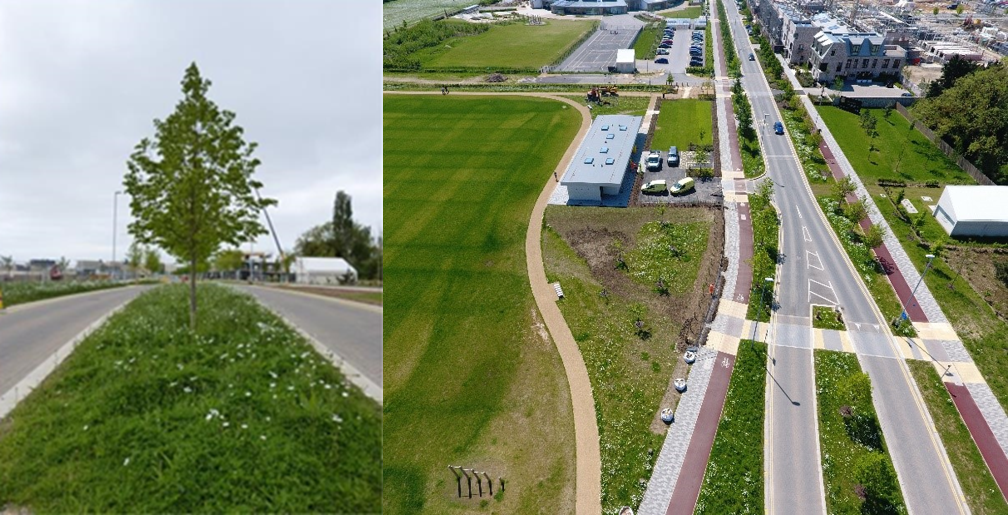 Wildflowers March 24