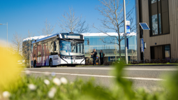 Untitled design (72)